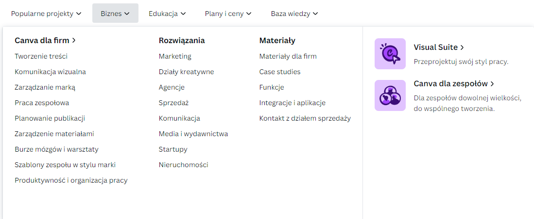 canva-biznes